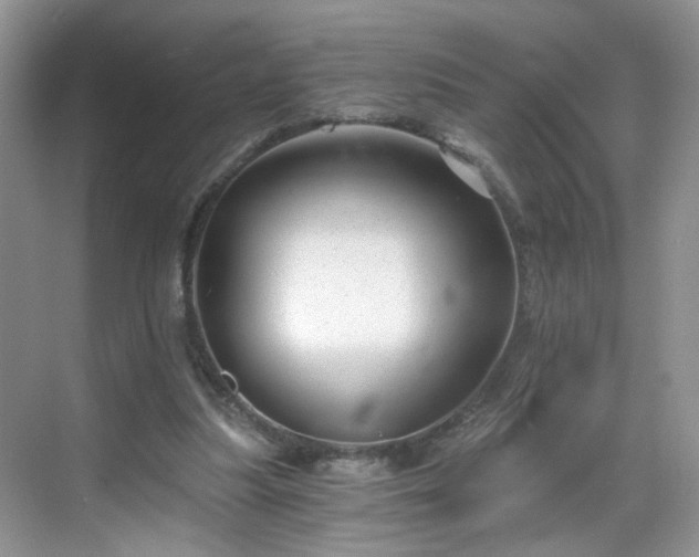 X0000068830251200605081221