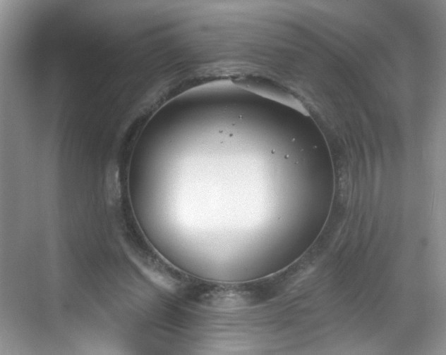 X0000068830254200605081221