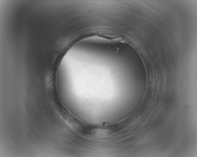 X0000068830255200605081221