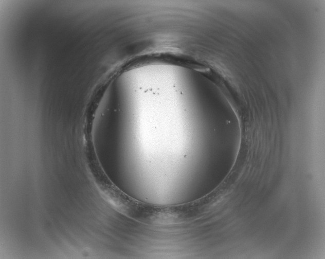 X0000068830256200605081221