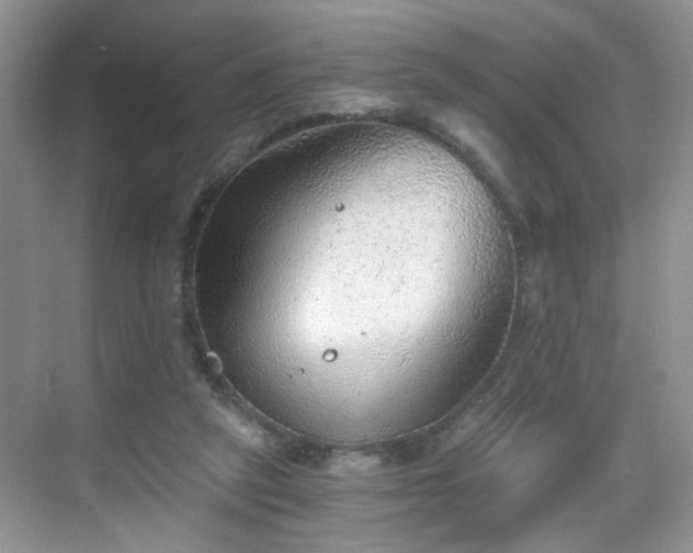 X0000068830257200605081221