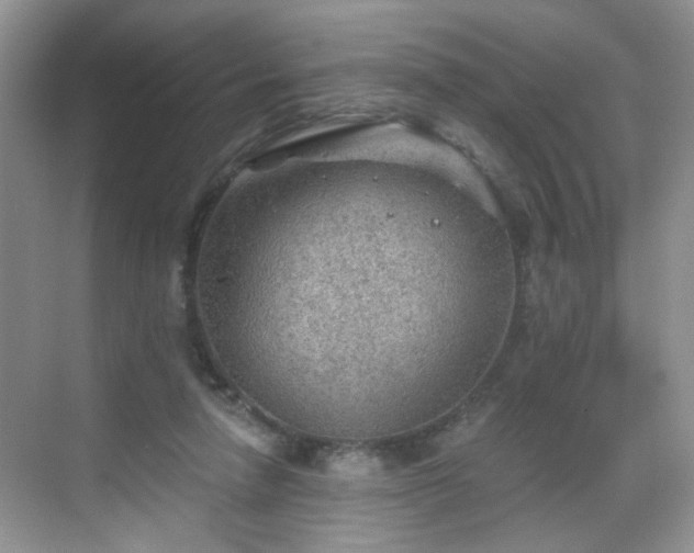 X0000068830258200605081221