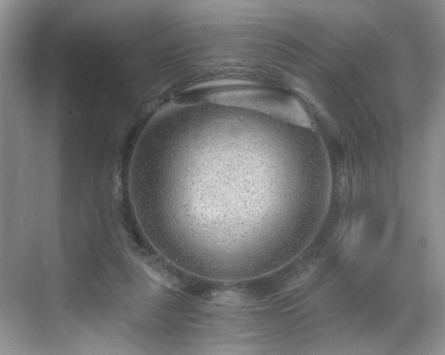 X0000068830259200605081221