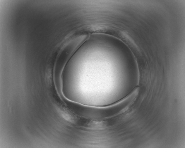 X0000068830260200605081221