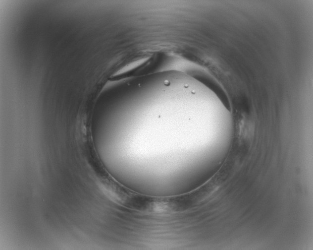 X0000068830264200605081221