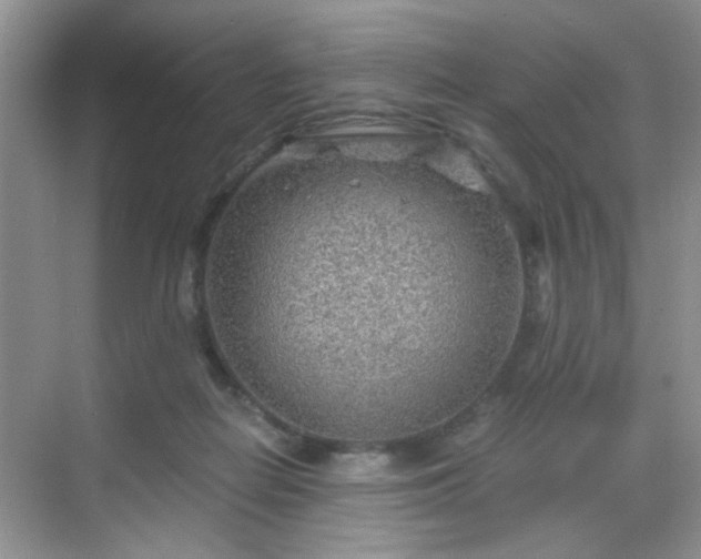 X0000068830266200605081221