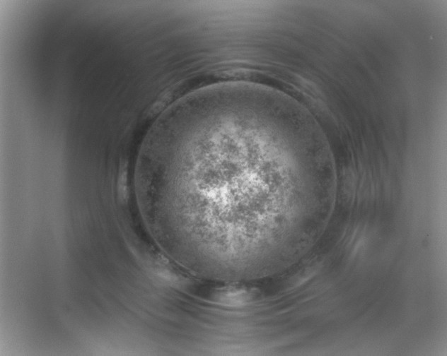 X0000068830267200605081221