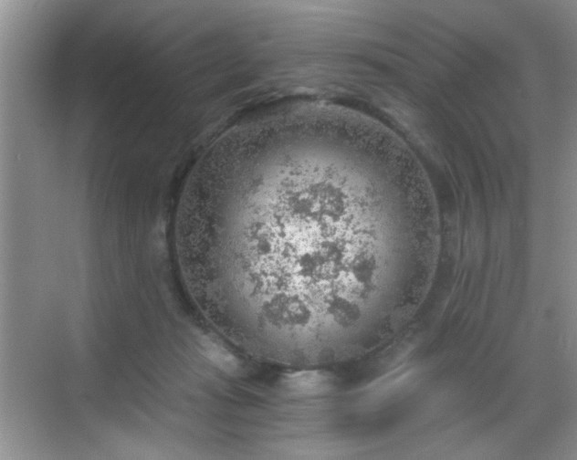 X0000068830269200605081221