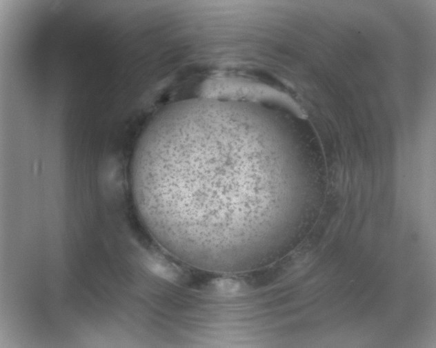 X0000068830272200605081221