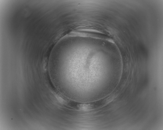 X0000068830273200605081221