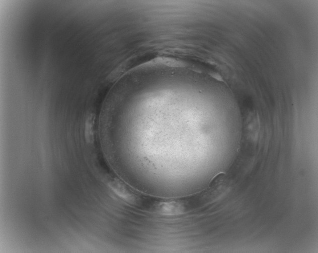 X0000068830275200605081221