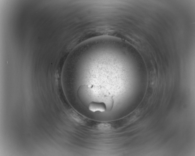 X0000068830279200605081221