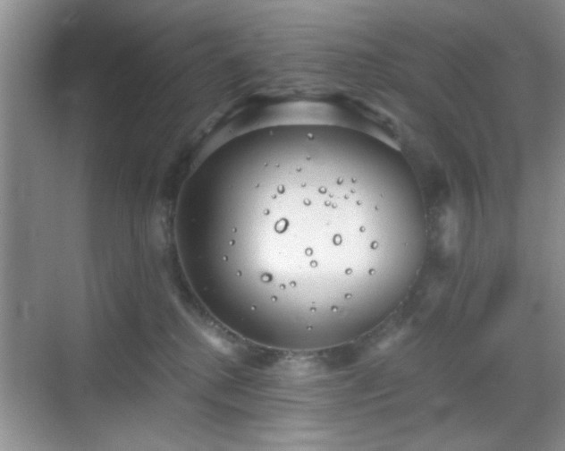 X0000068830280200605081221