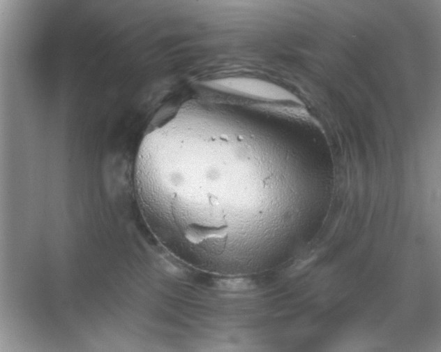 X0000068830281200605081221