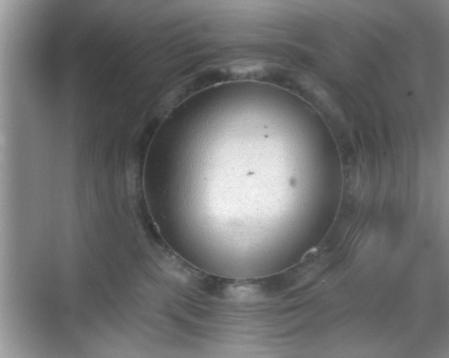 X0000068830283200605081221