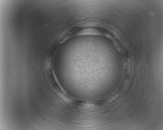 X0000068830284200605081221