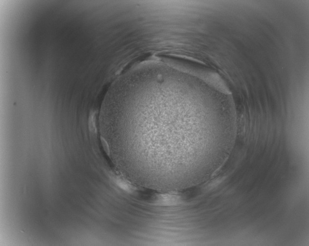 X0000068830286200605081221