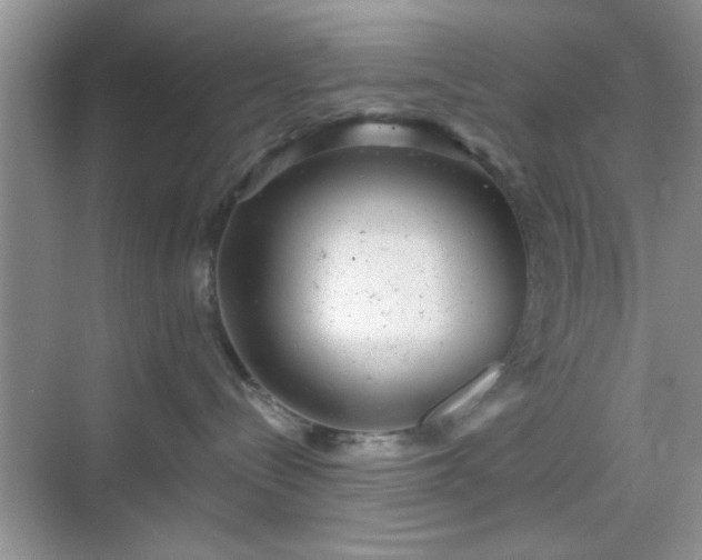 X0000068830288200605081221