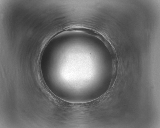 X0000068830289200605081220