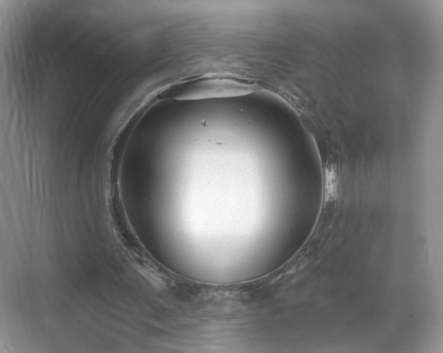 X0000068830291200605081220