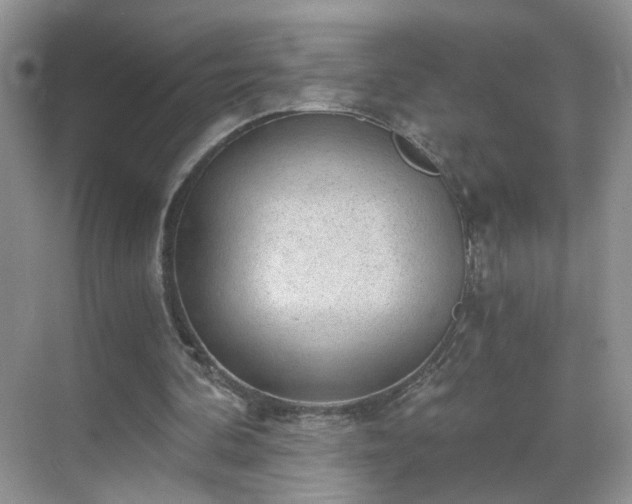 X0000068830292200605081220