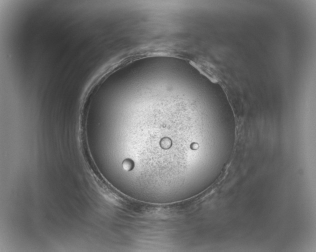 X0000068830293200605081220