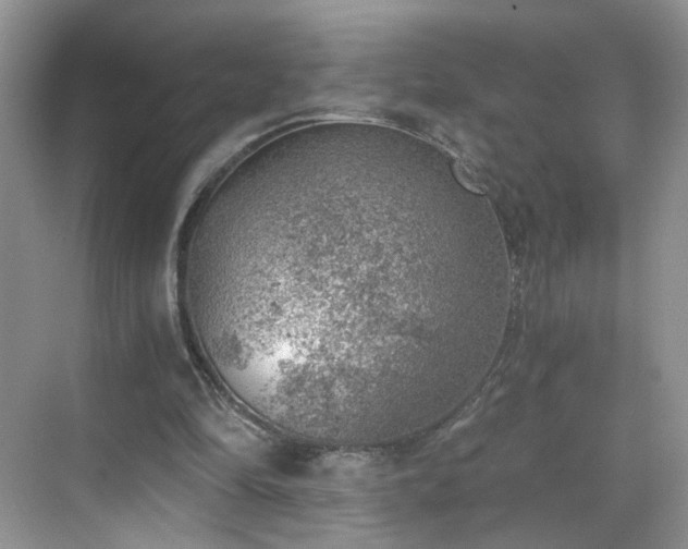 X0000068830294200605081220