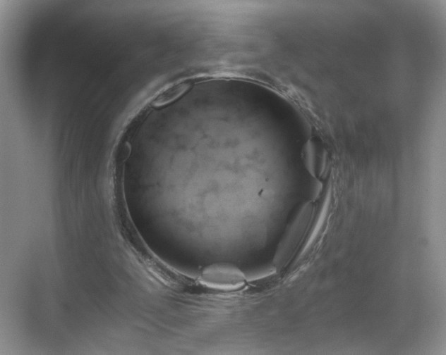 X0000068830295200605081220