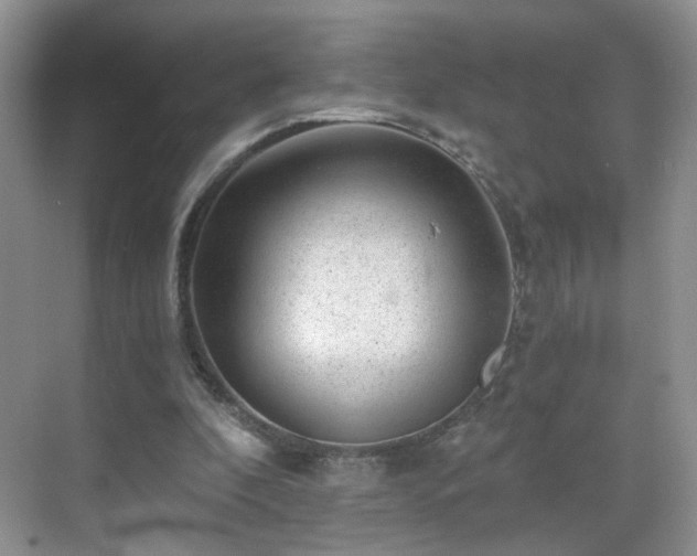 X0000068830296200605081220