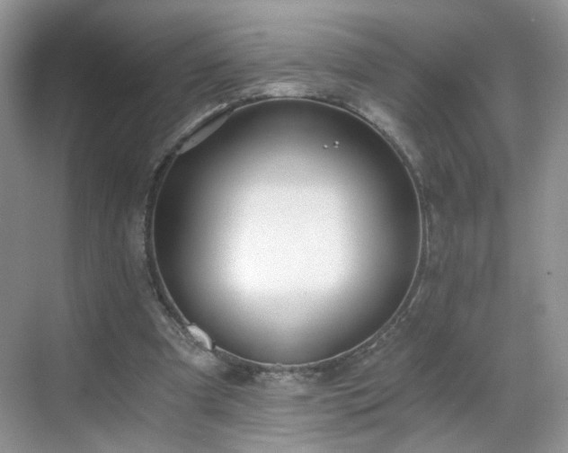 X0000068830297200605081220