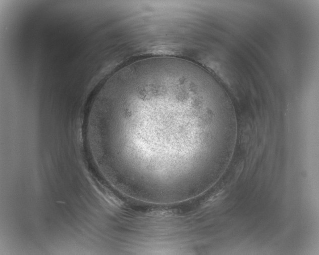 X0000068830299200605081220