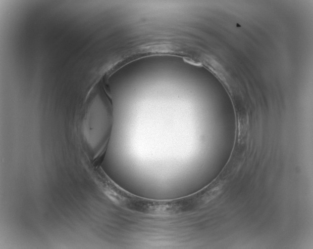 X0000068830301200605081220