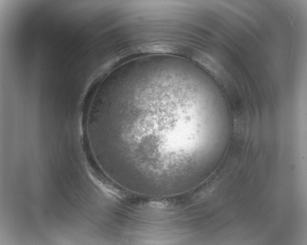 X0000068830302200605081220