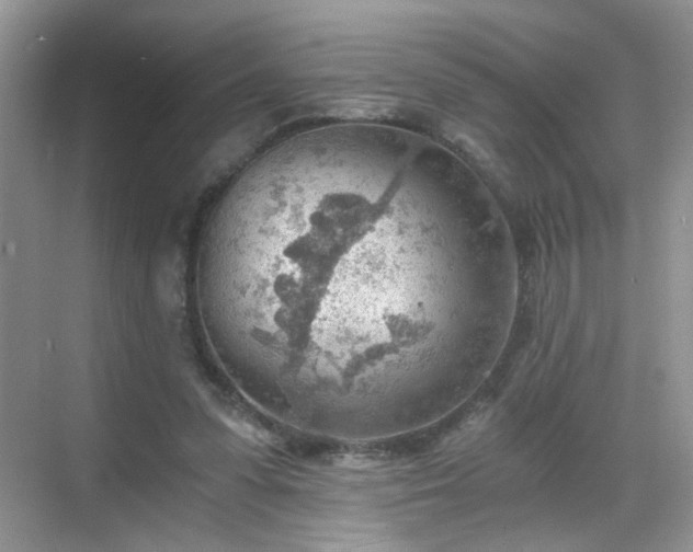 X0000068830303200605081220