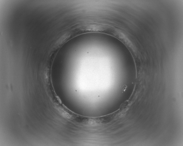 X0000068830305200605081220