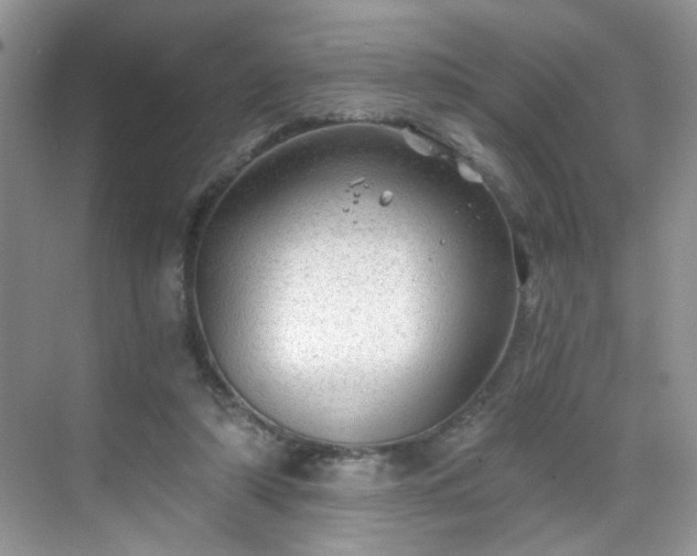 X0000068830306200605081220