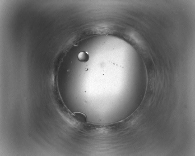 X0000068830310200605081220