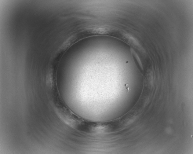 X0000068830312200605081220