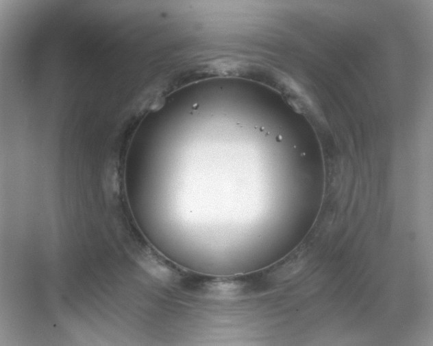 X0000068830313200605081220