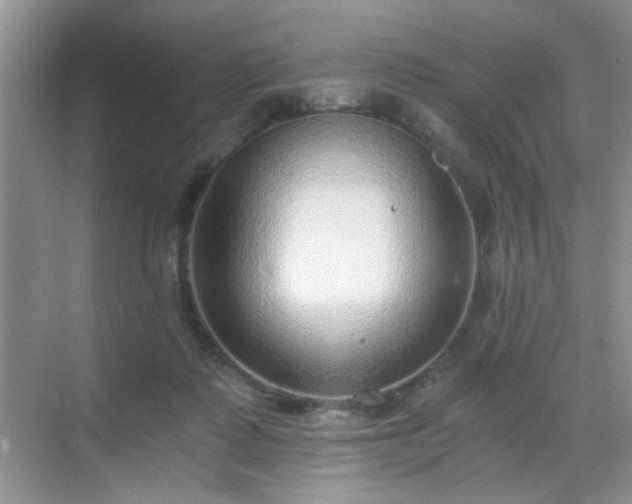 X0000068830315200605081220