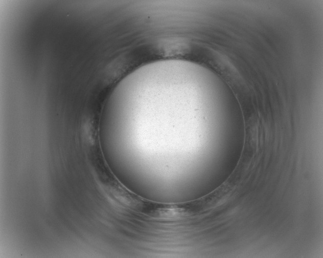 X0000068830316200605081220