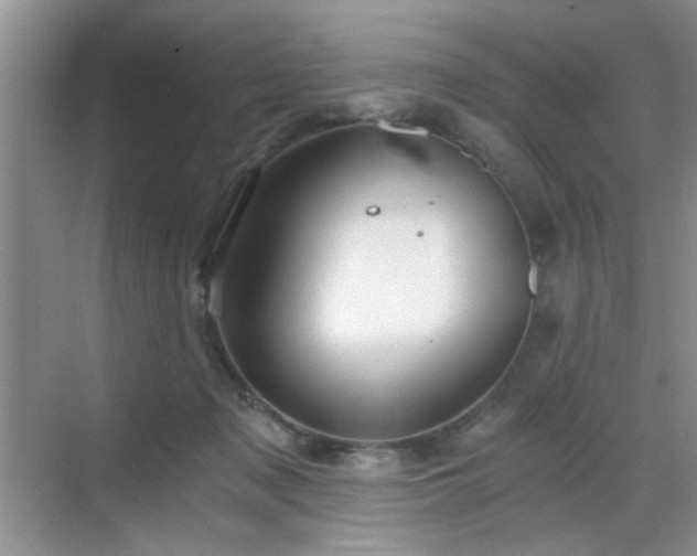 X0000068830317200605081220