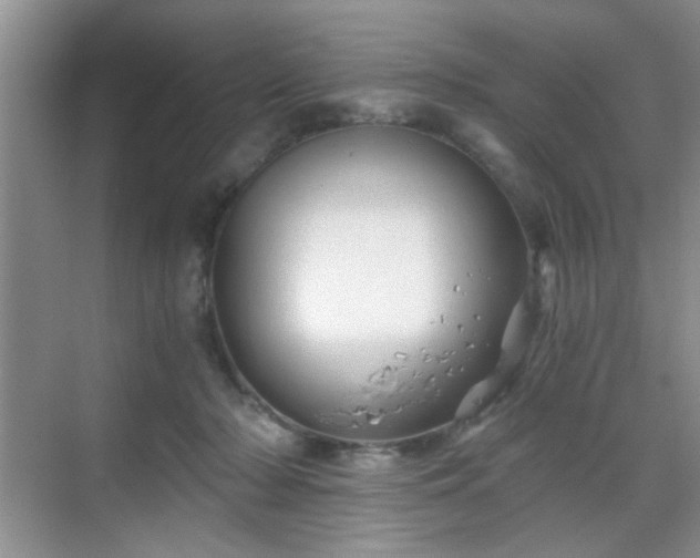 X0000068830318200605081220