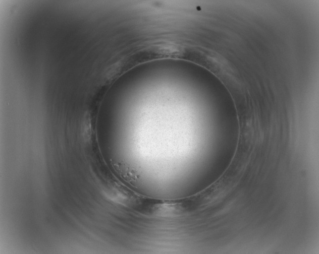 X0000068830320200605081220