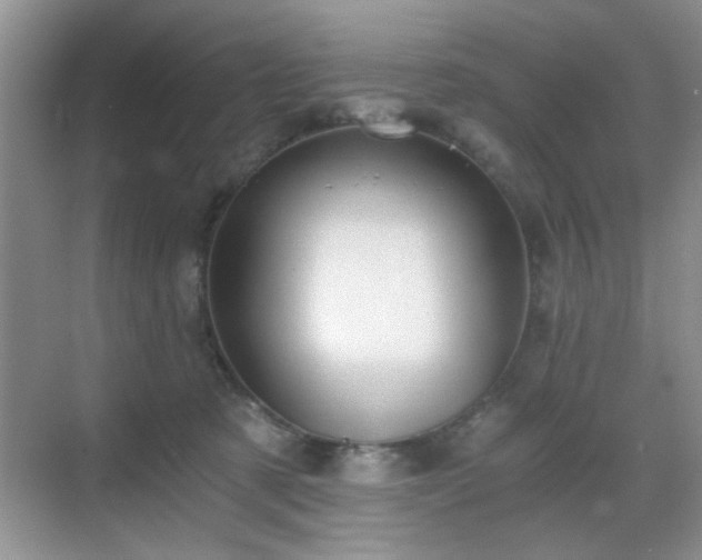 X0000068830321200605081220