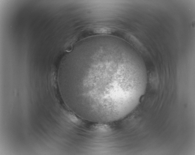 X0000068830322200605081220