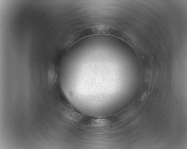 X0000068830324200605081220