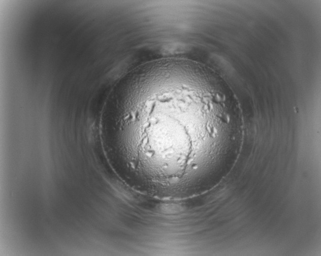 X0000068830327200605081220