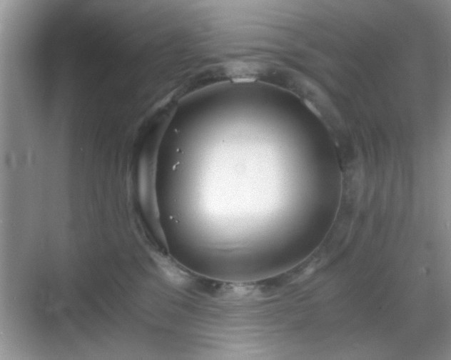 X0000068830329200605081220