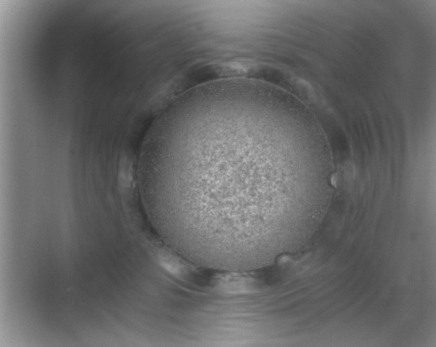 X0000068830331200605081220